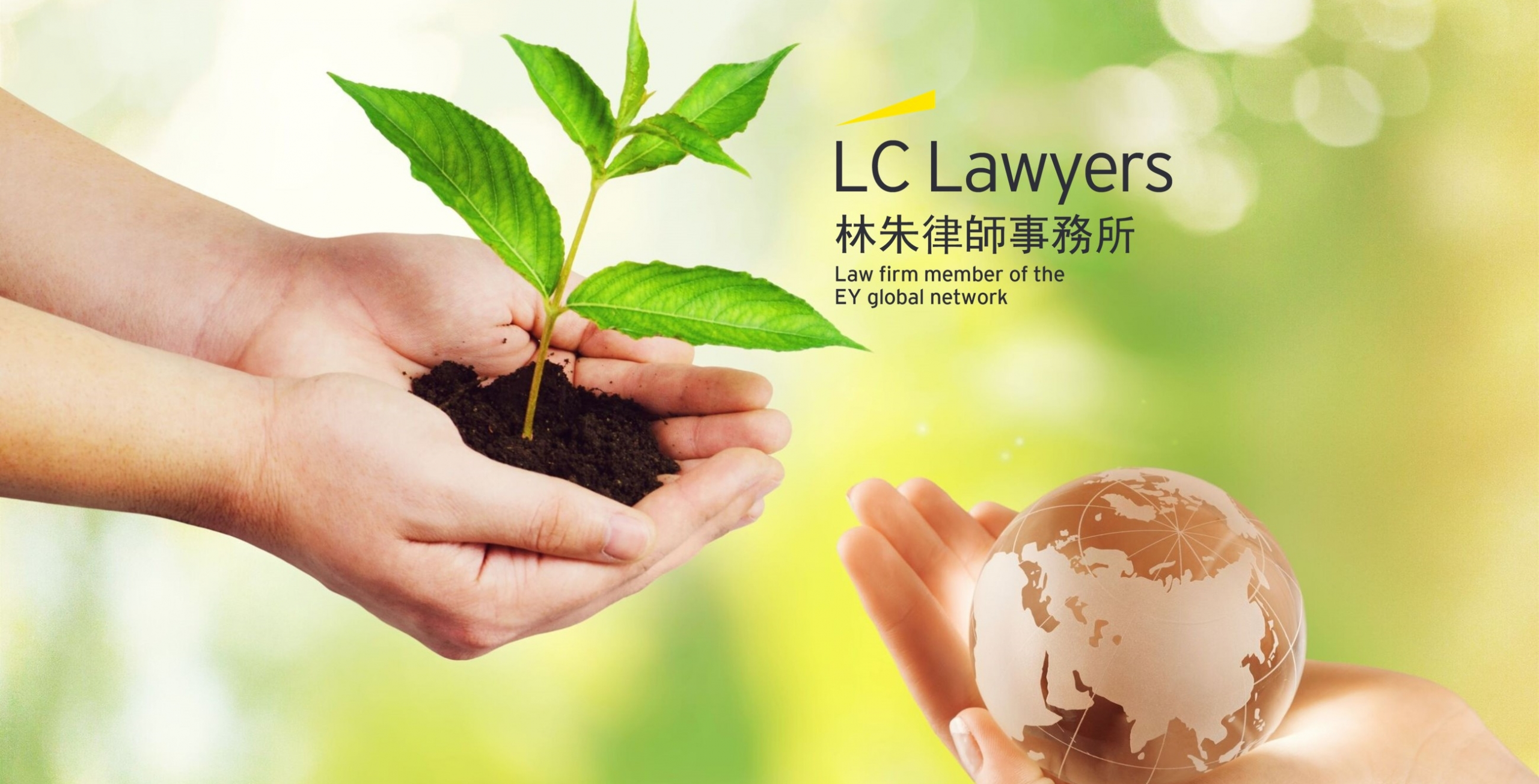 LC Lawyers 2 scaled