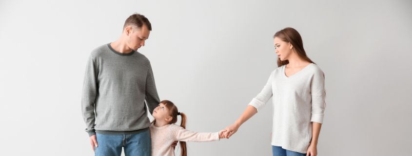 The Role of a Lawyer in Family Law  Understanding Divorce and Child Custody Cases