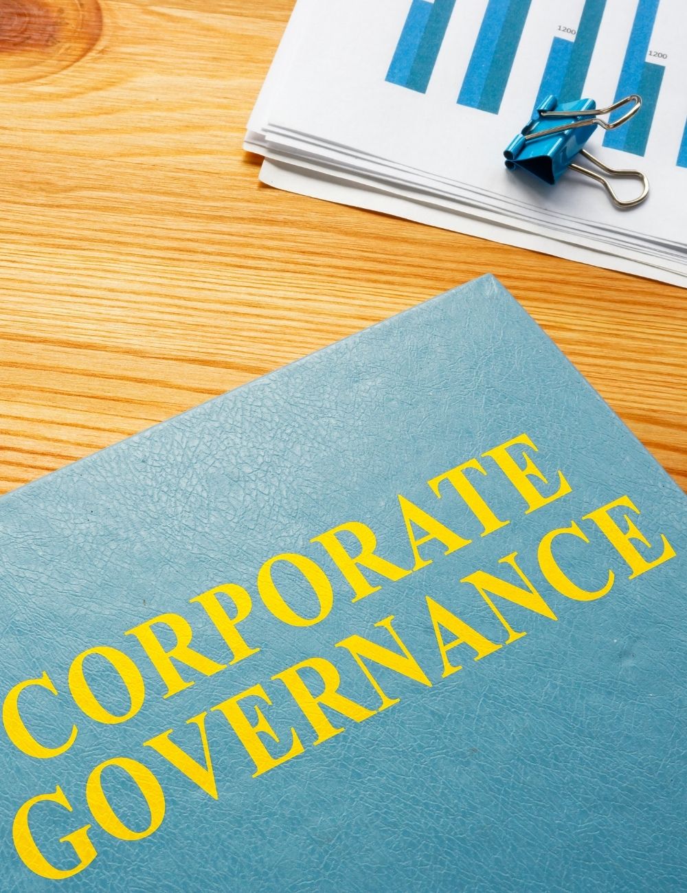 Why Corporate Governance and Corporate Law Matter